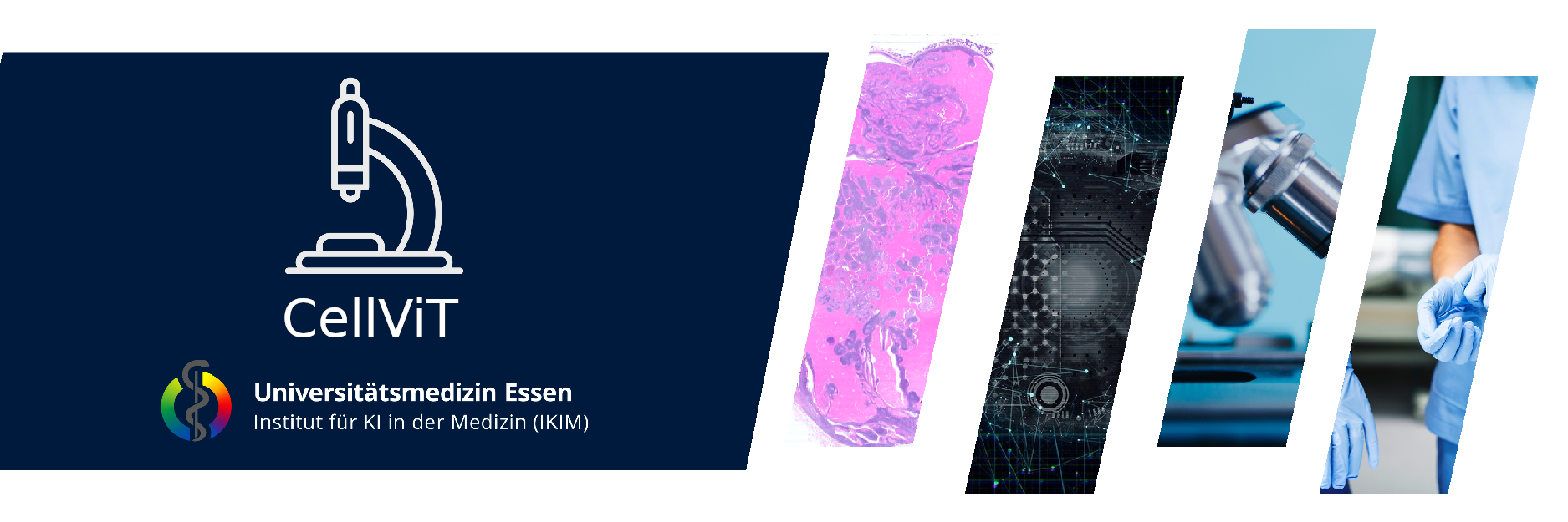 Project Banner